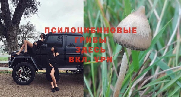 метадон Аркадак