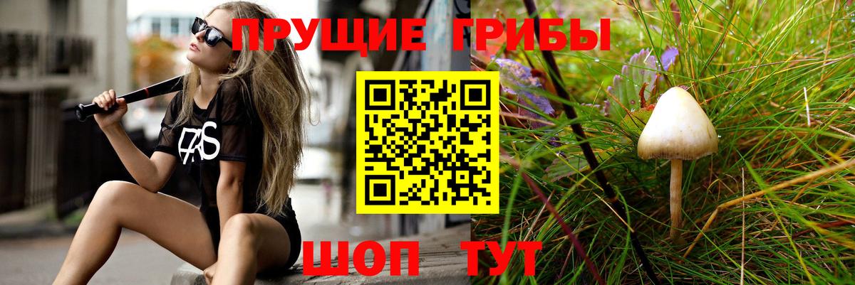 Галлюциногенные грибы Cubensis  Вход с VPN  где купить наркотик  Карабулак 