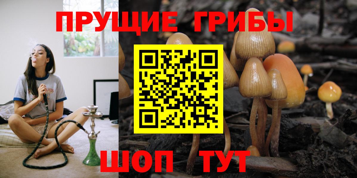 Псилоцибиновые грибы мухоморы Карабулак